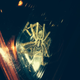 Illustration for article titled Car Owner Finds Most Horrifying Giant Spider Imaginable In Headlight